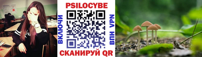 Галлюциногенные грибы MAGIC MUSHROOMS  Приволжск 