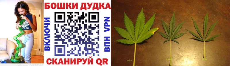 Марихуана конопля Приволжск